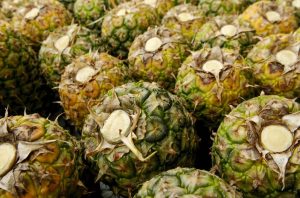 Tres Productos Agrícolas Claves Pierden Cuota De Mercado Internacional